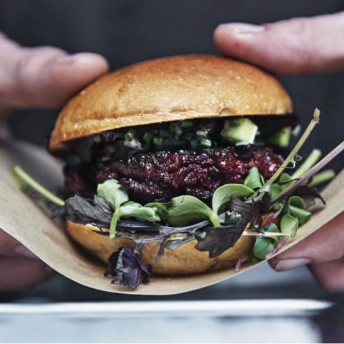 Alternative Proteine